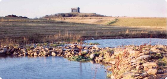 Penshaw Walk and Talk